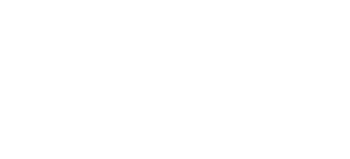 visa-white